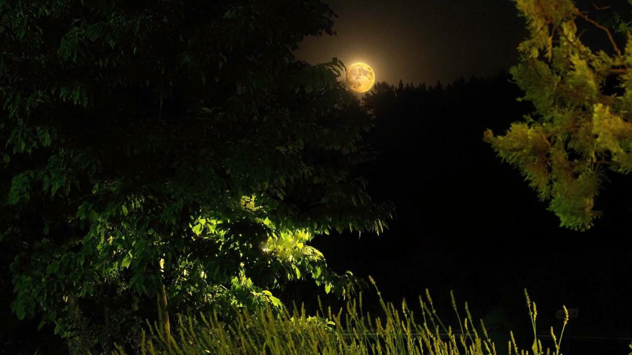 Hospedium Hostal Almanzor นาวาร์เรดอนดา เด เกรโดส ภายนอก รูปภาพ